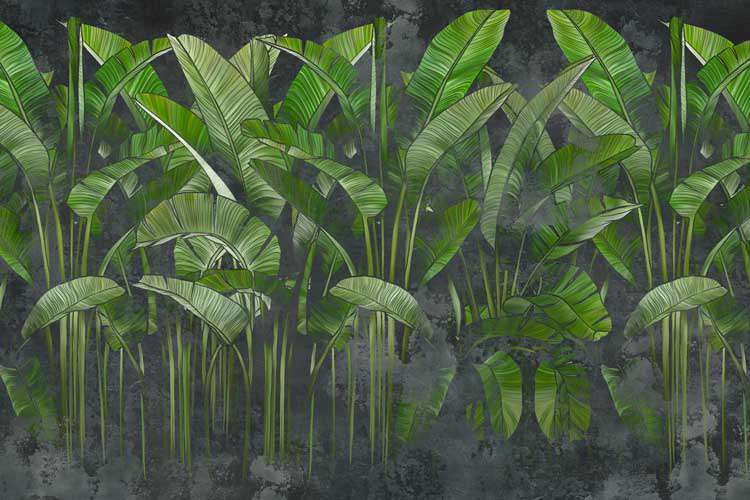 Lush Tropical Paradise Wallpaper