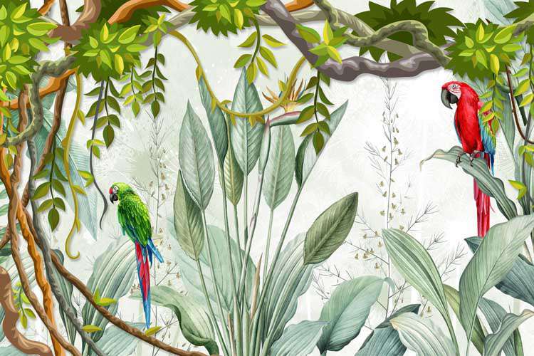 Tropical Paradise Birds of the Jungle