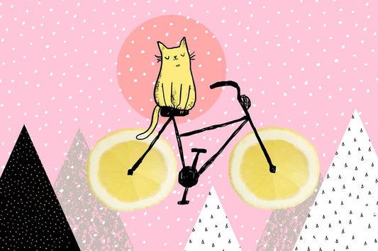 Lemon-Bicycle Kitty Ride in Pink Land